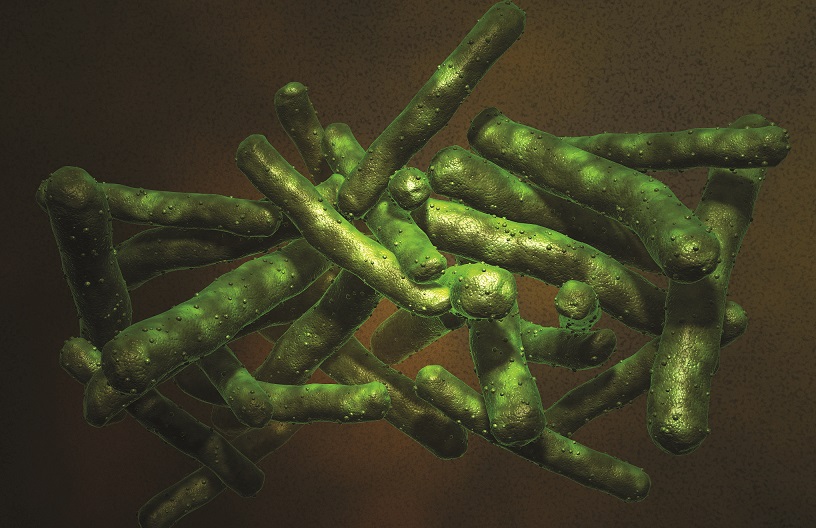 Mycobacterias